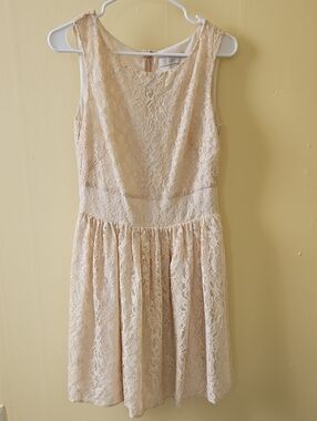 LOFT Cream Lace Fit-and-Flare Dress